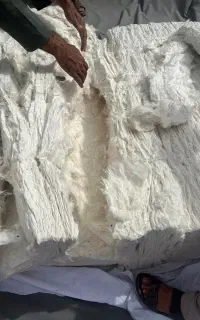 الیاف پنبه