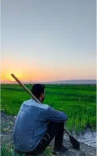 کود ارگانیک تضمینی  مناسب کشاورزی و باغ