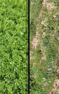 کود ارگانیک سبوسیب / کارشناسی اراضی
