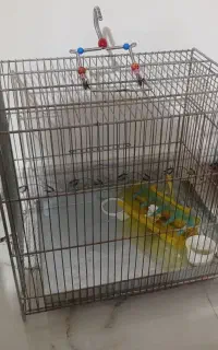قفس پرنده قناری بلبل سهره