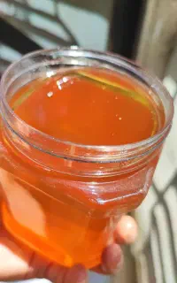 عسل طبیعی زاگرس ( لرستان)