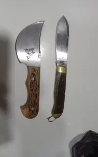 گازن