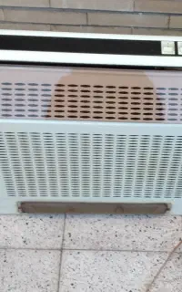 هود