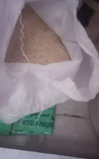 برنج درجه یک چمپا
