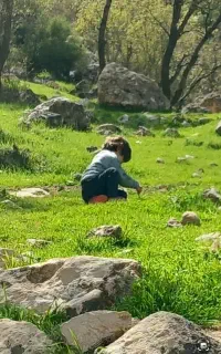 خط موبایل خاص