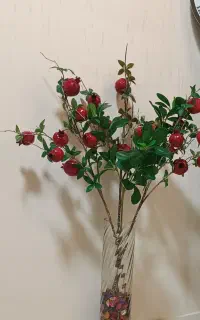 شاخه گل انار