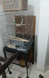 قفس بزرگ کاسکو