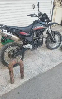 موتور ۲۵۰ پیشرو گلد