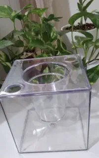 گلدان آکواریومی
