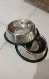 لوازم نگهداری گربه خانگی