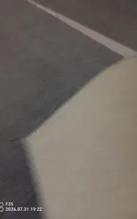 پلازموکت