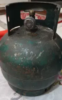 پیکنیکی