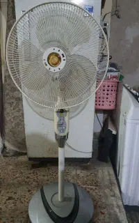 قدبلند پنکه