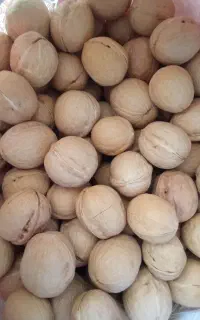 روغن و چای و برنج
