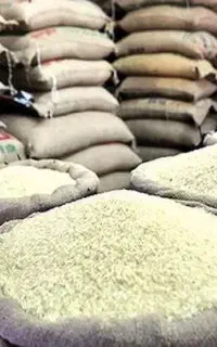 ۲ تن برنج هاشمی گیلان فروش