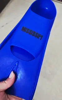 فین شنا