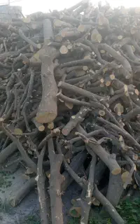 خرید چوب