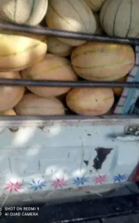 طالبی و جانانان