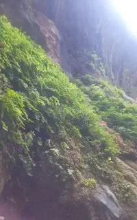 یک عدد کلید جک پیدا شده