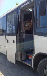 مینی بوس مارکوپولو، مونتاژ خارج، استثنایی،فوری