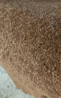 فروش. پالاز موکت