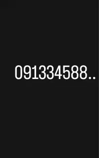 091334588..