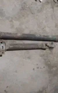 گاردن
