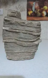 سنگ زینتی چندملیون ساله