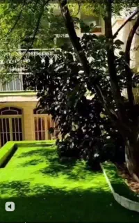دبستان و پیش دبستانی