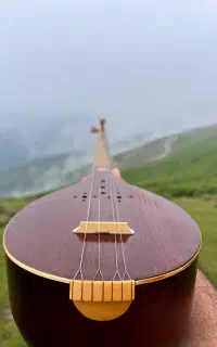 سه تار حرفه ای