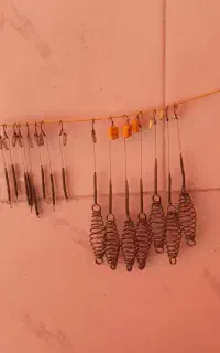 ریسه کپوری