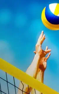 همبازی والیبال