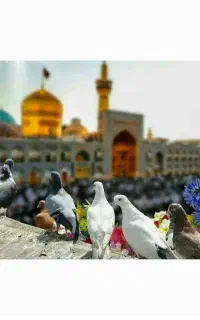 مشهد11و 21و 27شهریور