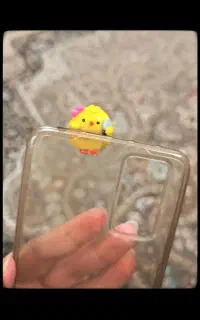 جوجه چسبونک