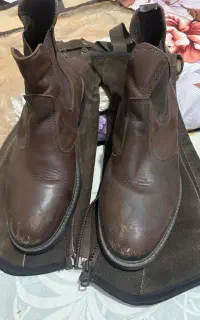 گتر و کفش سوارکاری