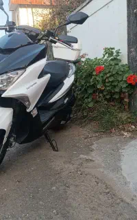 ۱۴۰۵ طرح ایروکس در حد