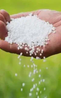 کود اوره