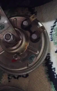 بوق