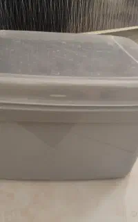 جابرنجی یا جانونی
