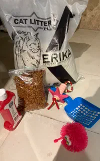 وسایل گربه