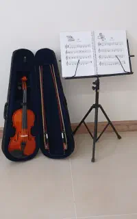 ویلن
