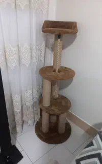 اسکرچر گربه