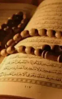 *سید*است۰۰دو۰عاا۰۰اقساطی**