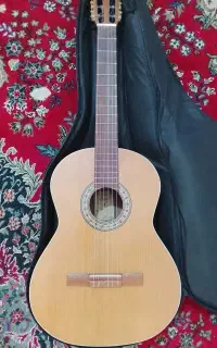 گیتار پارسی m5