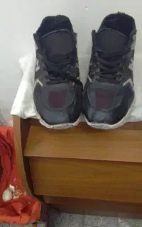 کف سایز 43 Z