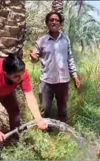 شناور خورشیدی// پمپ خورشیدی//برق خورشیدی