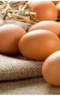 تخم مرغ محلی تازه و سالم