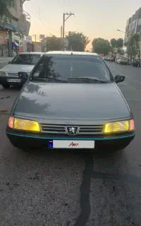پژو 405 دلفینی