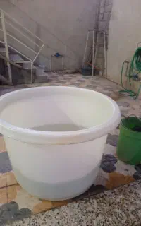 وان بزرگ مقاوم