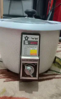 پلوپز برقی